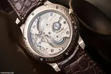 FP CASEBACK.webp