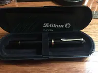 pelikan01.webp
