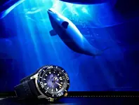 DSCN1048.webp