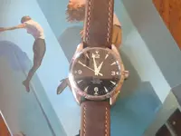 omega railmaster.webp