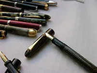 6_pilot dragonfly DSCN1018.webp