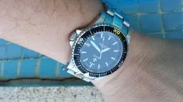 20150726_albatros.webp