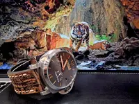 DSCN1178.webp