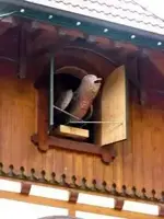 2cwvfjm.webp 2cwvfjm.webp