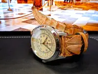 DSCN1092.webp