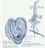 Embryos.jpg