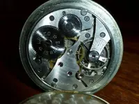 P1000555 (Medium).webp