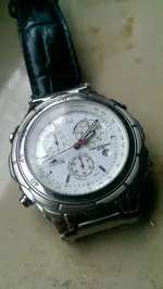 IMAG0685.webp