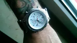 IMAG0687.webp