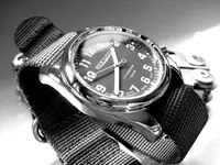bertucci 390pix.webp
