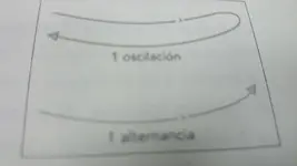 1436604438272454073099.webp
