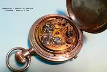 Tempus157-GS..webp