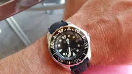 14366108082591743889261.webp