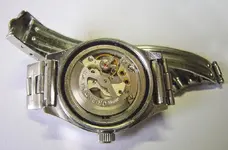 P1050025_1100.webp