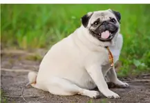 Screenshot_20210606-180107_Chrome-01.webp