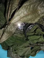 DSCF0754.webp