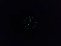 neiton luminova.webp