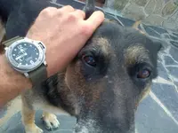 IMG-20150821-00077.webp