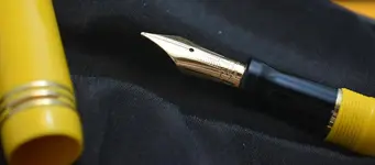 Parker Mandarin_LE_DSC_2919.webp