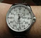 pilot.webp