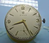 P1050091_1173.webp