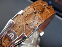 DSCN1260.webp
