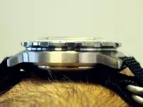 P9041336.webp