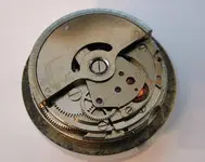 10Trolex.webp