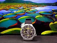DSCN1271.webp