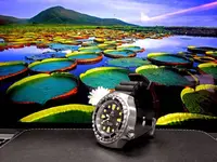 DSCN1273.webp
