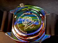 DSCN1281.webp