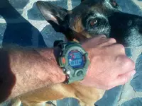 IMG-20150825-00083.webp