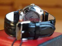 P9176834.webp