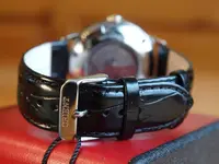 P9176835.webp