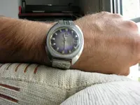 DSCN2946.webp