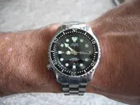 CitizenAutoDiverWristSm.webp