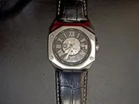 DSCN1340.webp