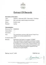 COMEXSeamasterRecords.webp