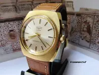 Cricket.tempus157.webp
