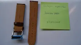 DSC02322.webp
