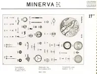 minerva.webp