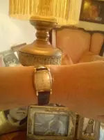 44444.webp