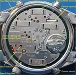 7a28Movement.webp