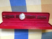 Foto 10-01-13 15 50 17.webp