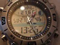 PA217397.webp