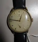 cyma papa (1).webp