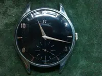 OMEGUITA.webp