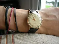 DSCN2927.webp