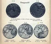 Omegamvt.tempus157..webp