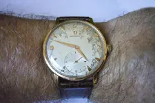 P1050379_1807.webp